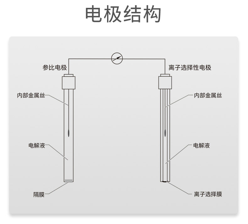 電極結構